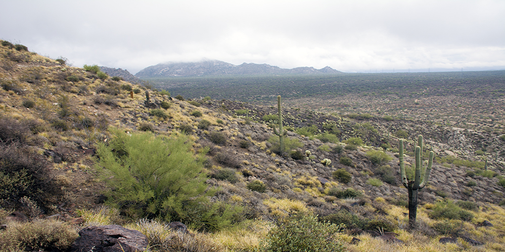 panoramic image of natural landscape