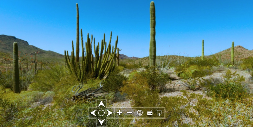 panoramic image of natural landscape
